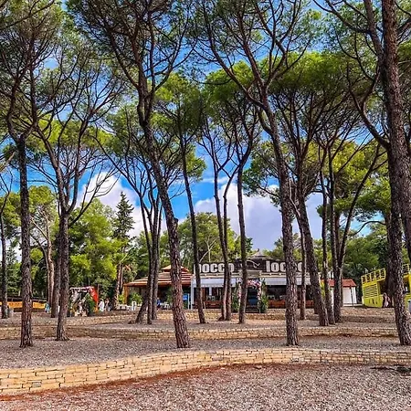Luna In Biograd Center Biograd Na Moru